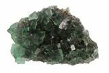Fluorite Crystal Cluster - Rogerley Mine #94535-1